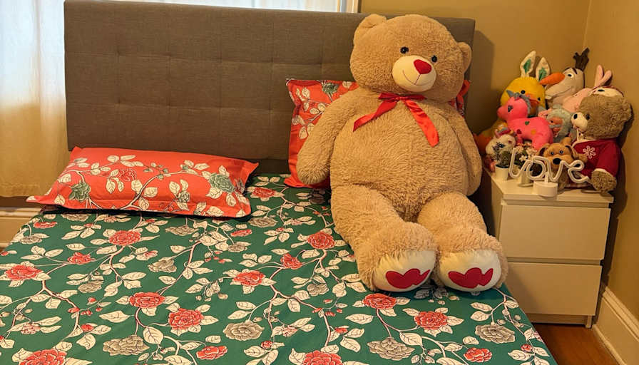 Priyanka's room