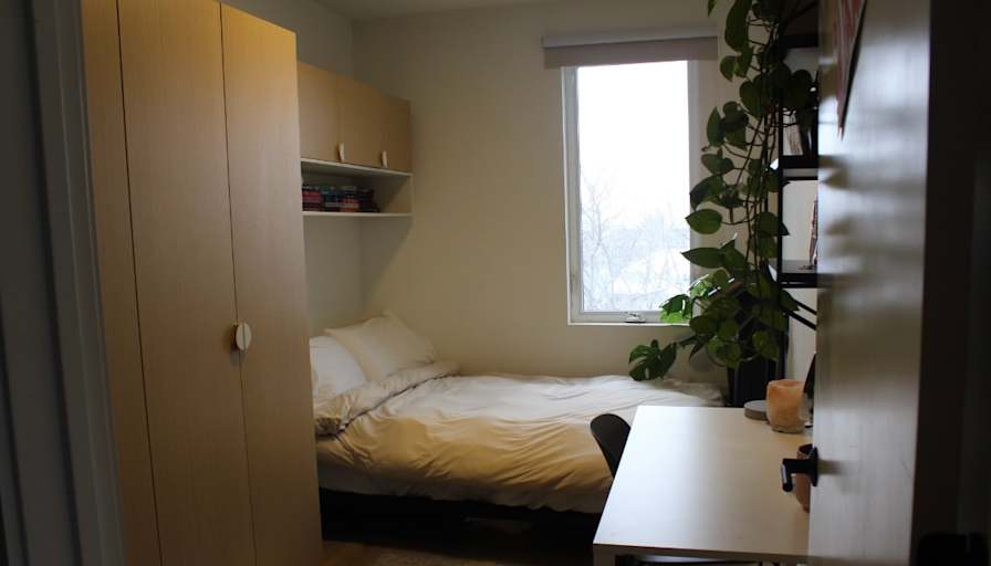 Maya's room