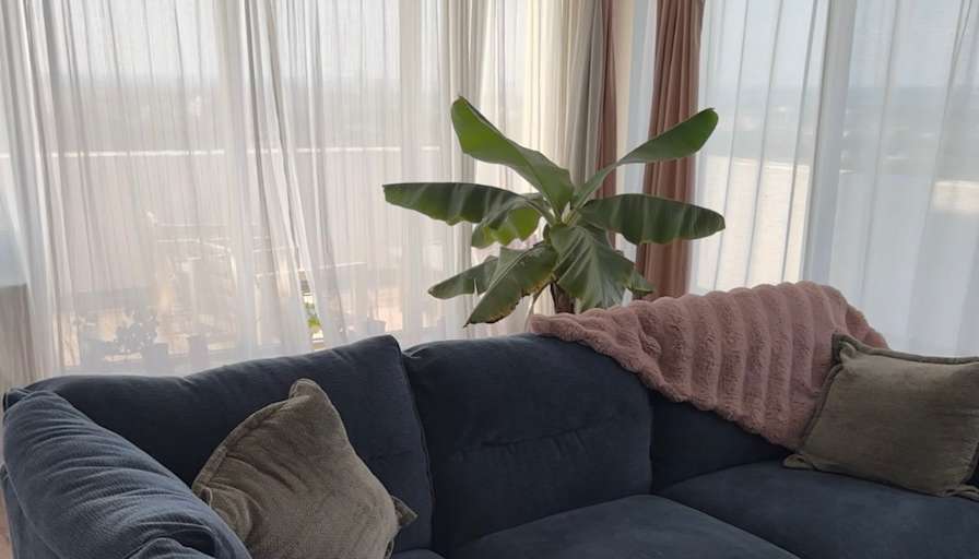navi's room