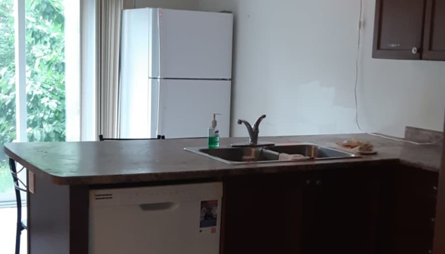 Shaheen's room