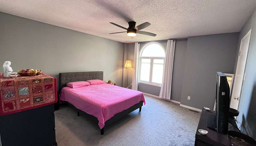 RAY SABERI's room
