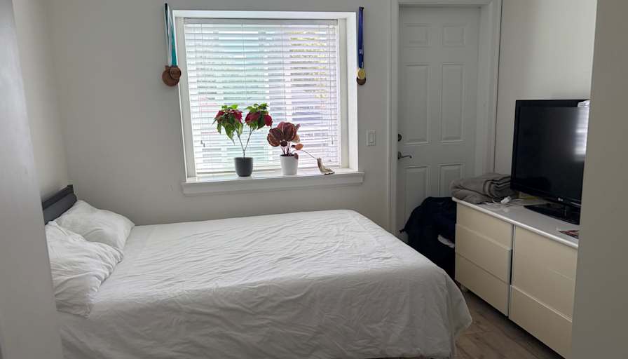 Stefan's room