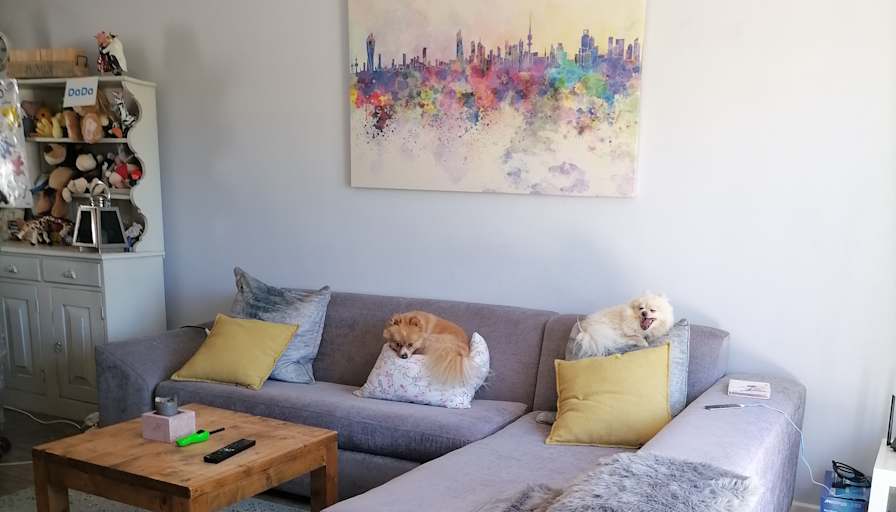 lou's room