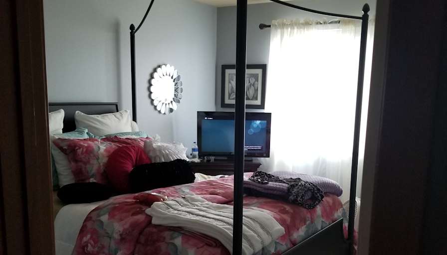 Renee's room