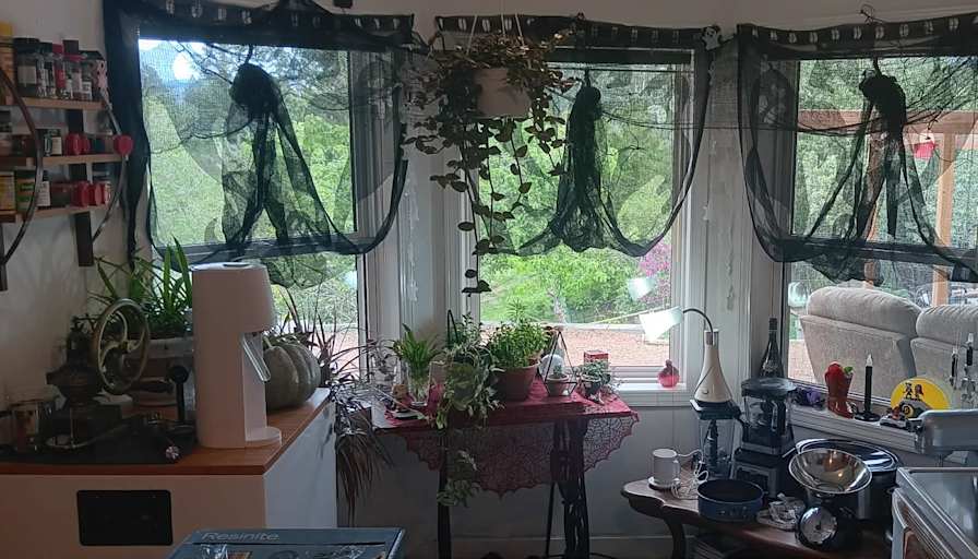 Annyssa's room