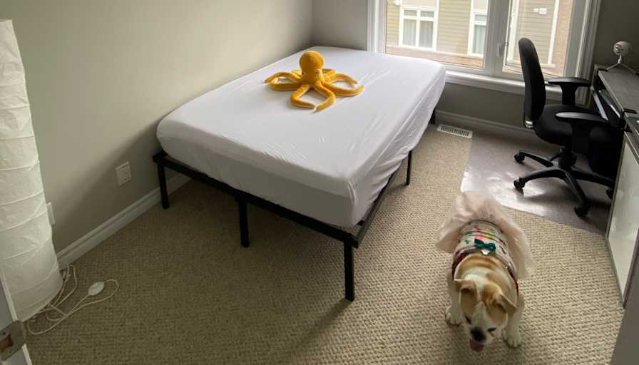 Drew's room