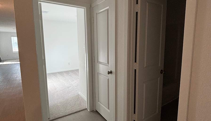 Cat's room