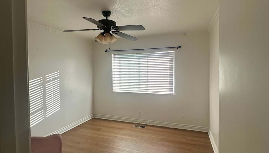 Evelyn's room