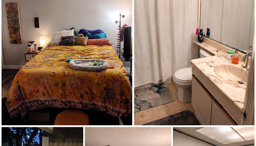 Zhiyu Dong's room