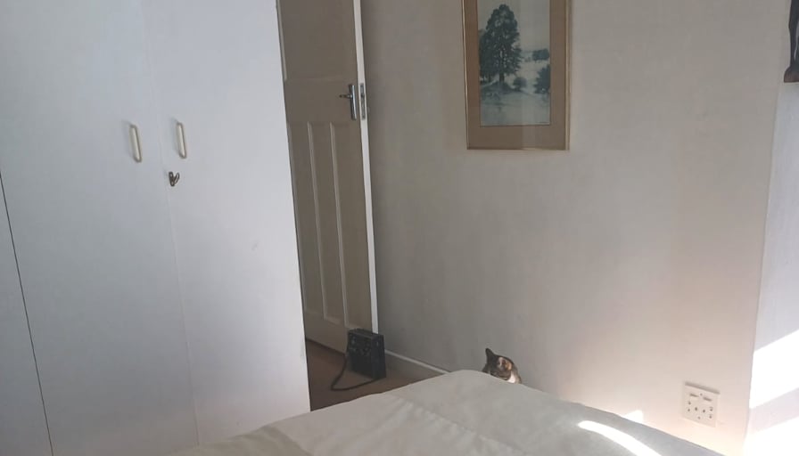Lisette's room