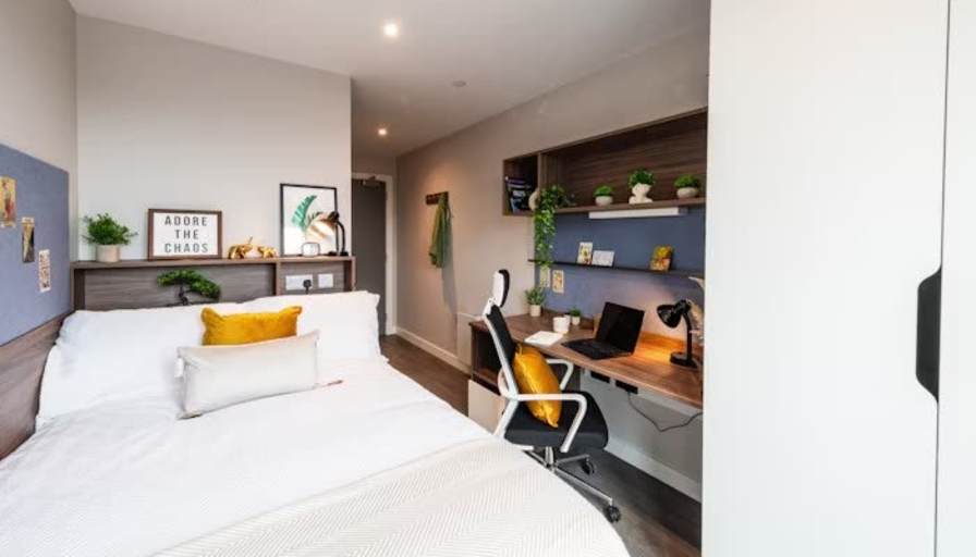 Fionn Brian McAnespy's room