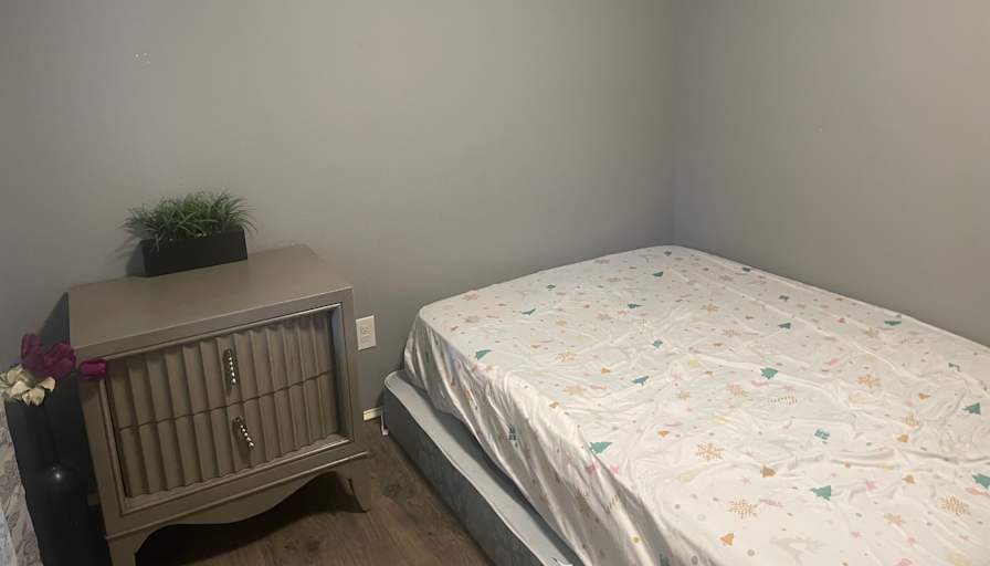 Mitshe Totaan's room