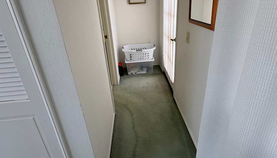 Stephen Currie's room