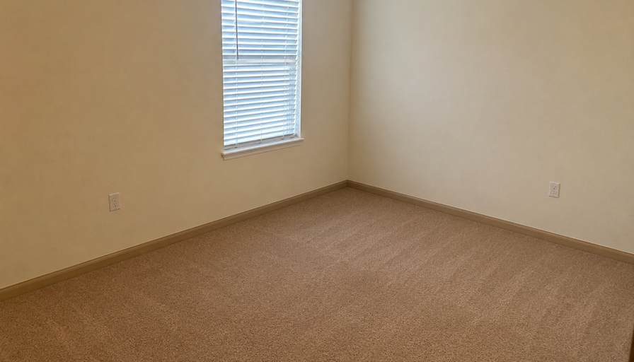 Cameron's room