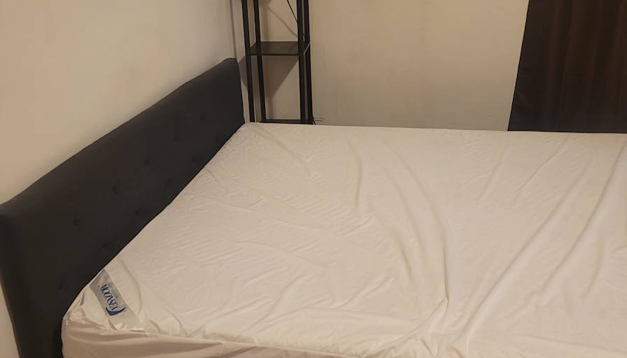 Paula's room