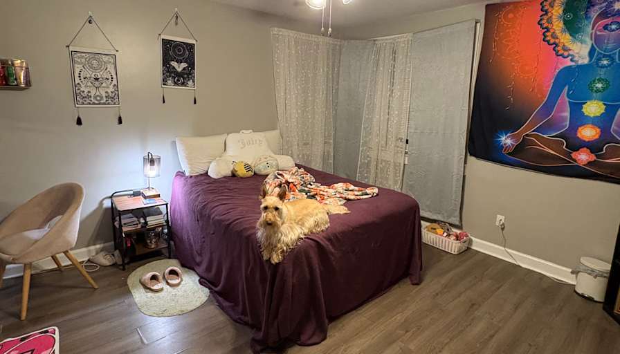 Chanelle's room