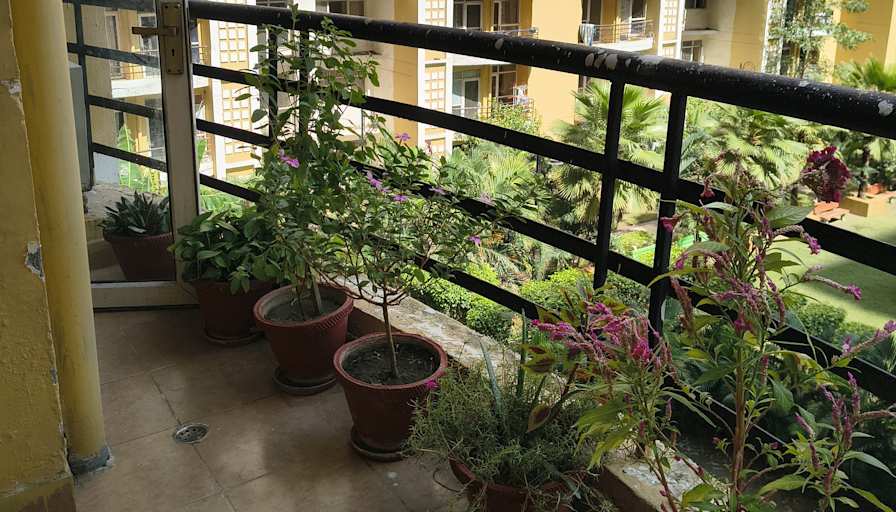 Vidushi's room
