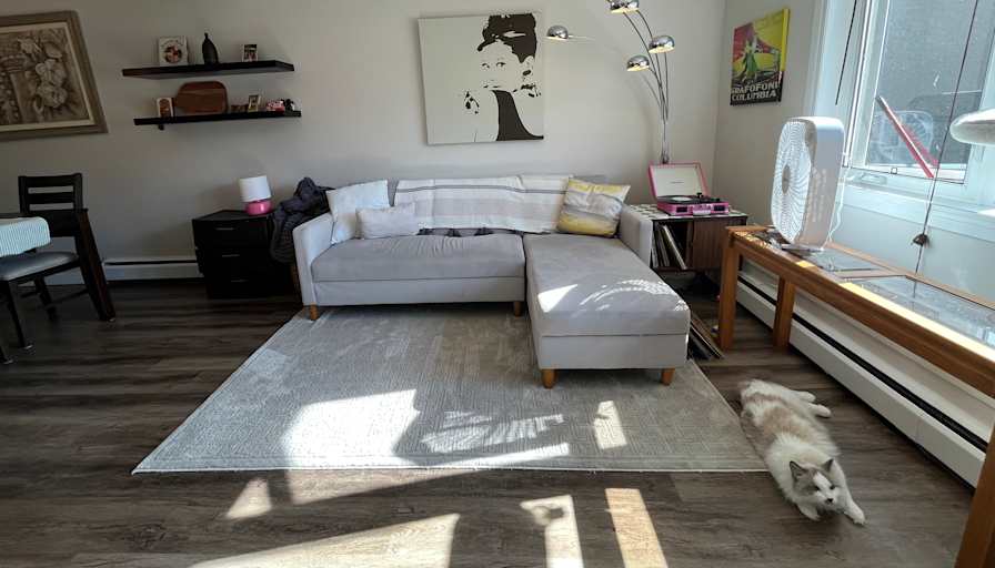 Alexa Gregory's room
