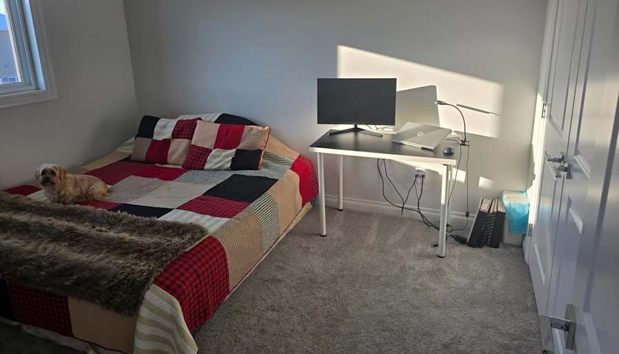 Ron's room