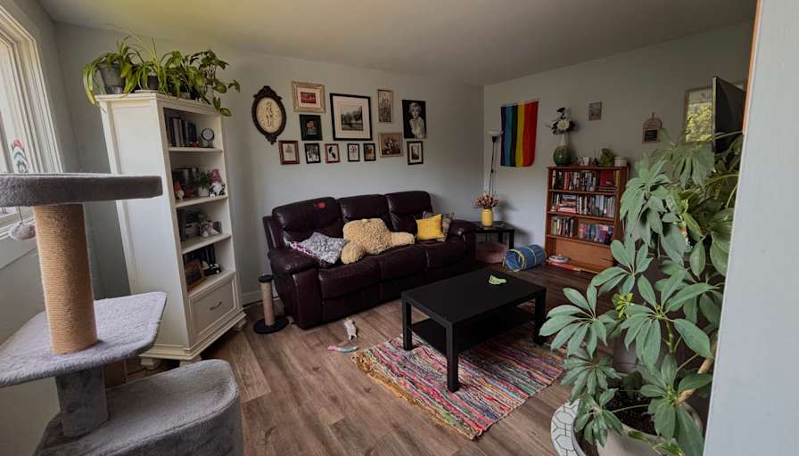 Robyn's room