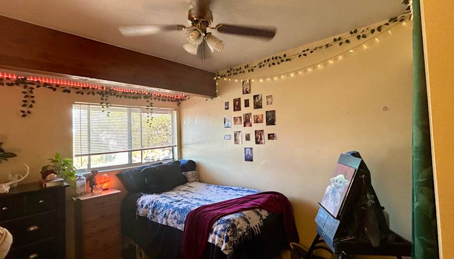 Dianne's room