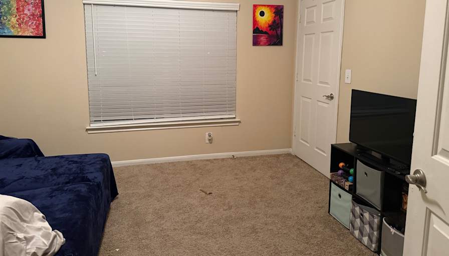 Bri's room