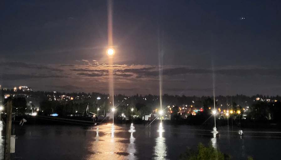 Shirley-anne Elmourne's room