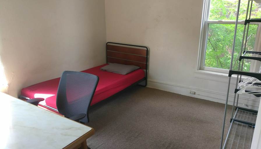 Zed's room
