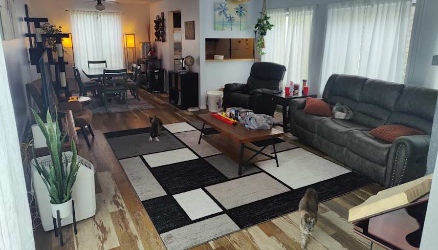 Mark Fain's room