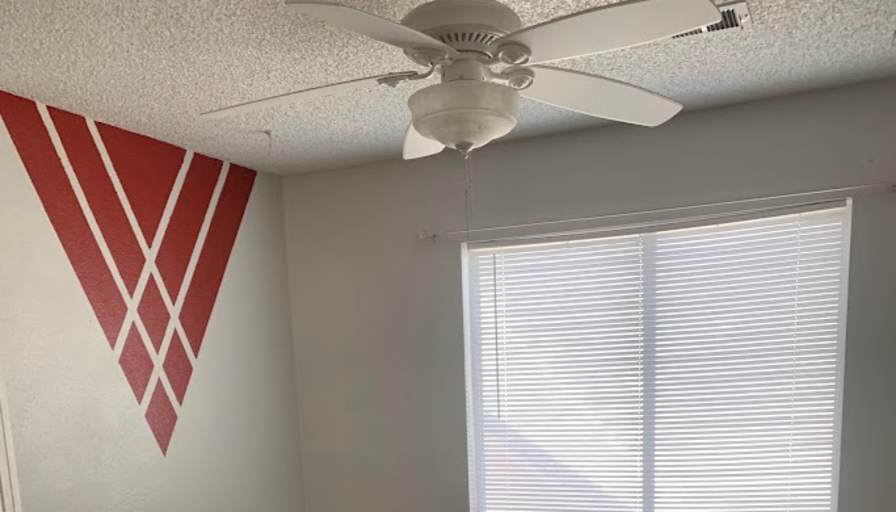 Shauna's room