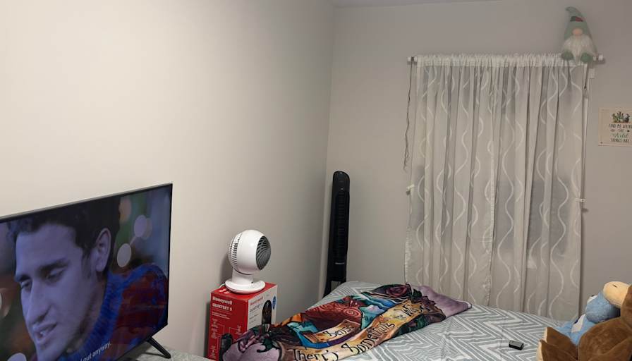 Diana Rojas Benito's room