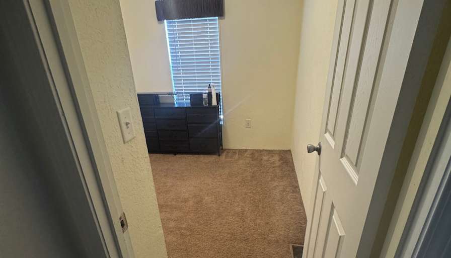 Carli's room