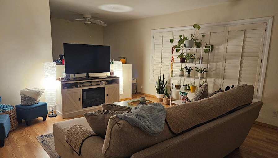 Amy's room