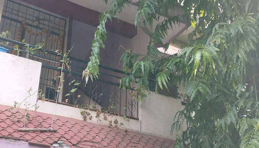 Rajeev Hassanand's room