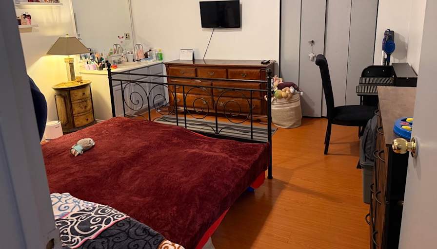 Negin's room