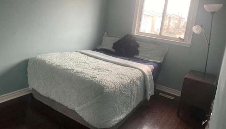 Priyanka Sisaudiya's room