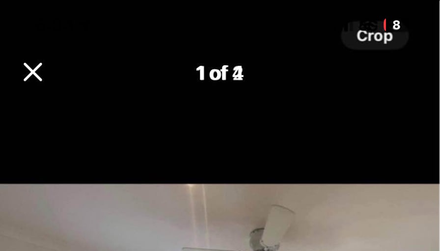 Paula's room