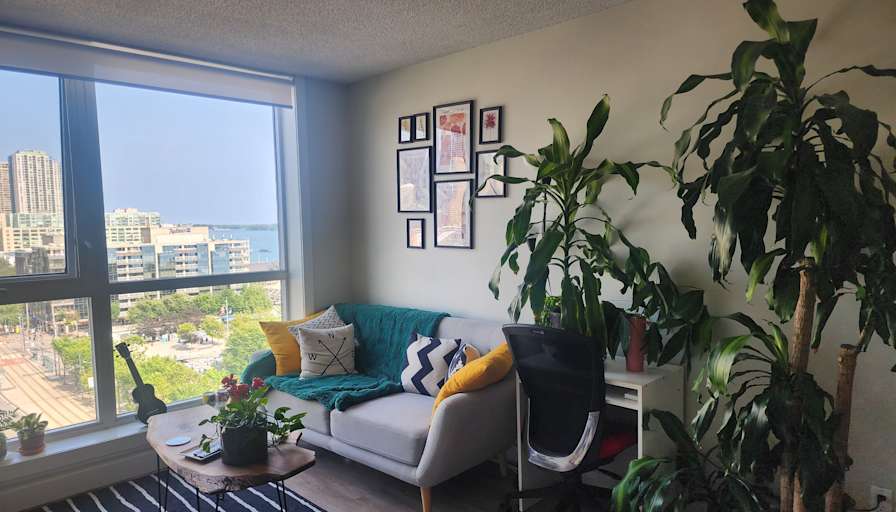 Nubia Rojas's room