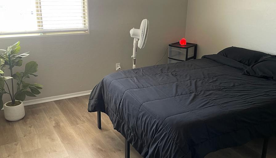 Lia Homes's room