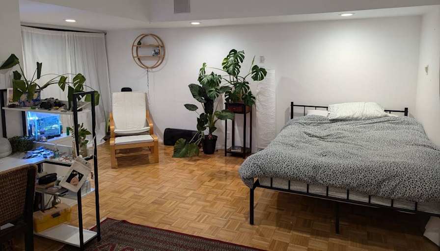 Ellie's room