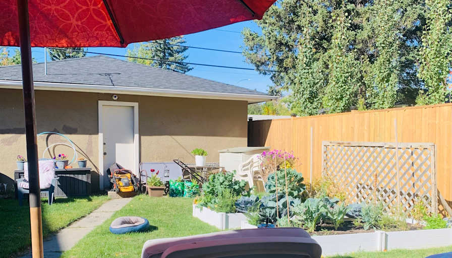 Alexis's room