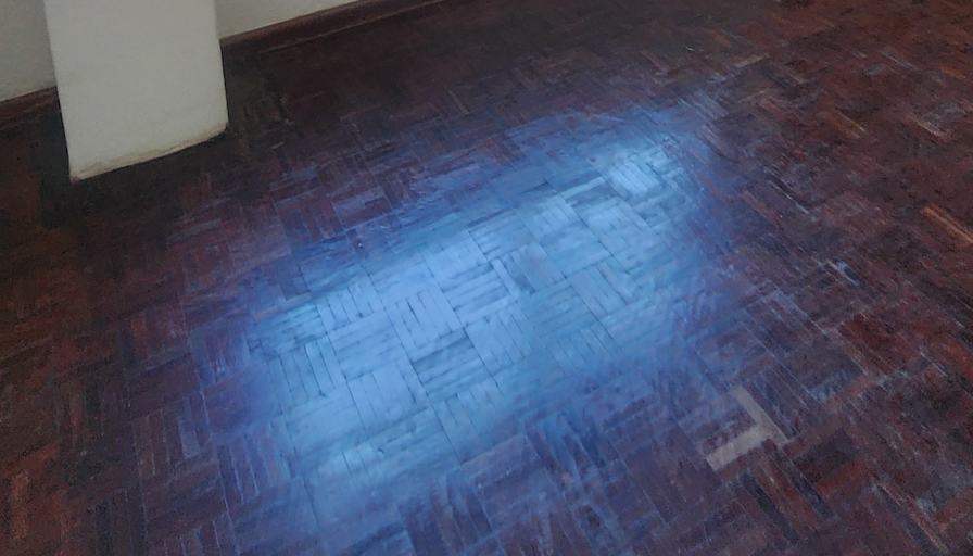 Leite Properties's room
