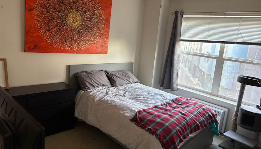 Rachael's room