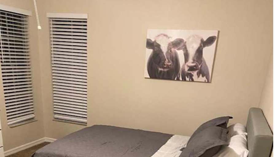 Kathleen Scala Kennelly's room