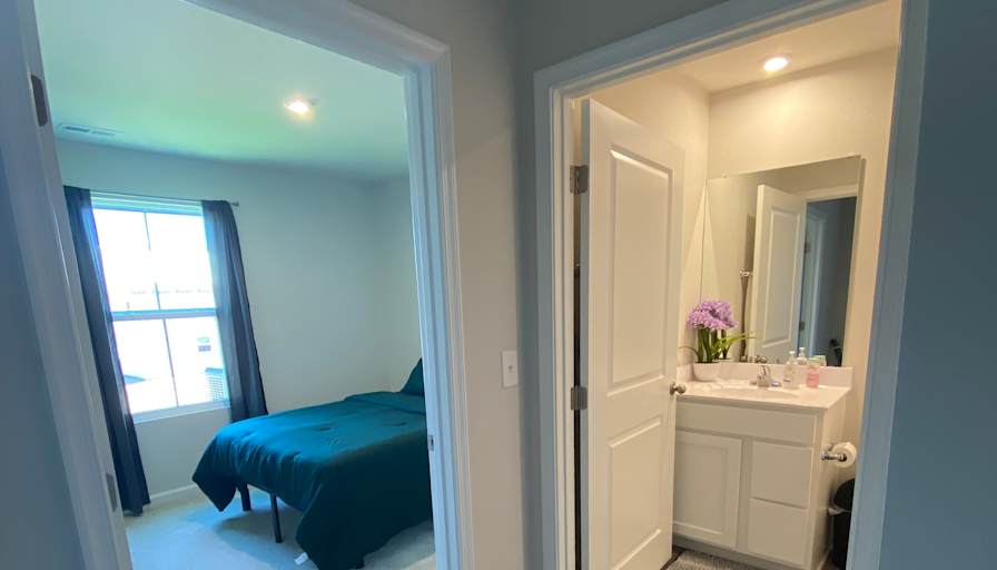 Taz's room