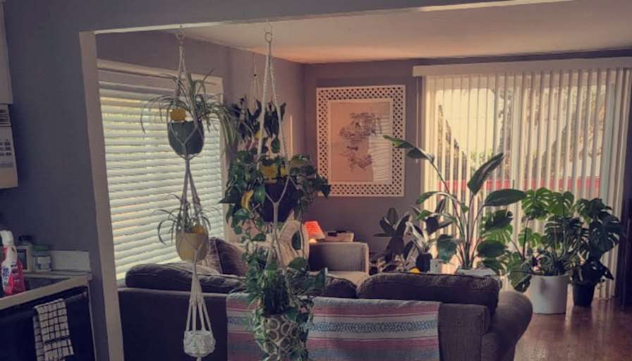 Eryn's room
