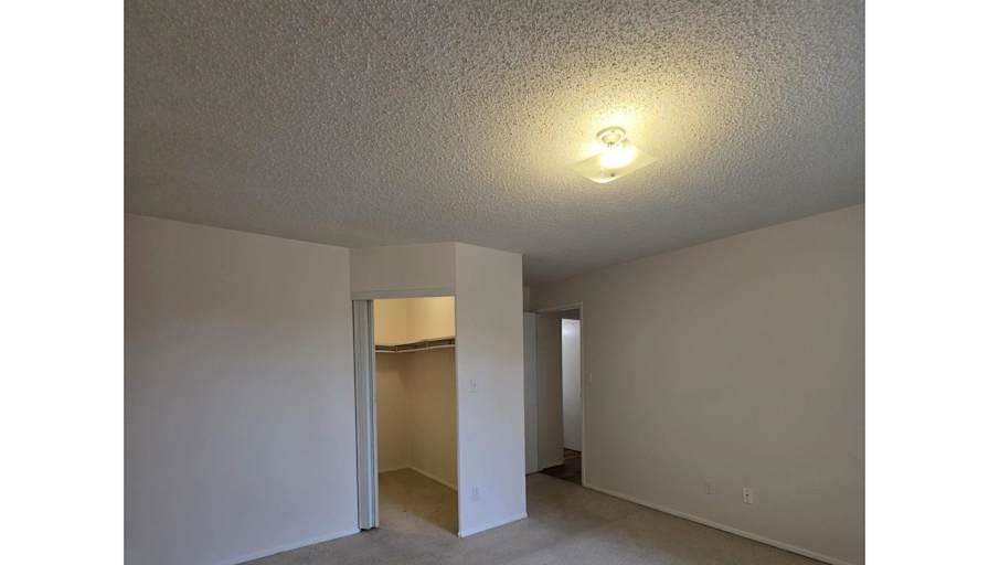 Todd's room