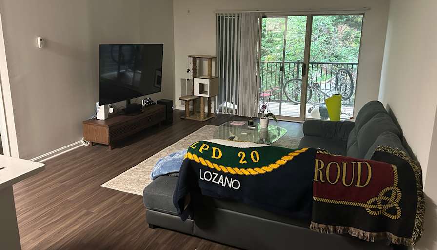 Austin's room