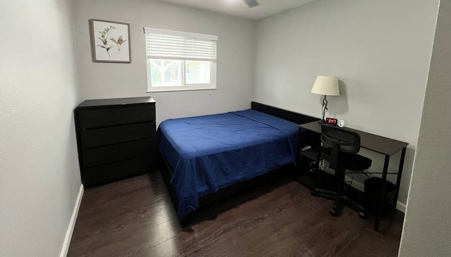 Alisa's room