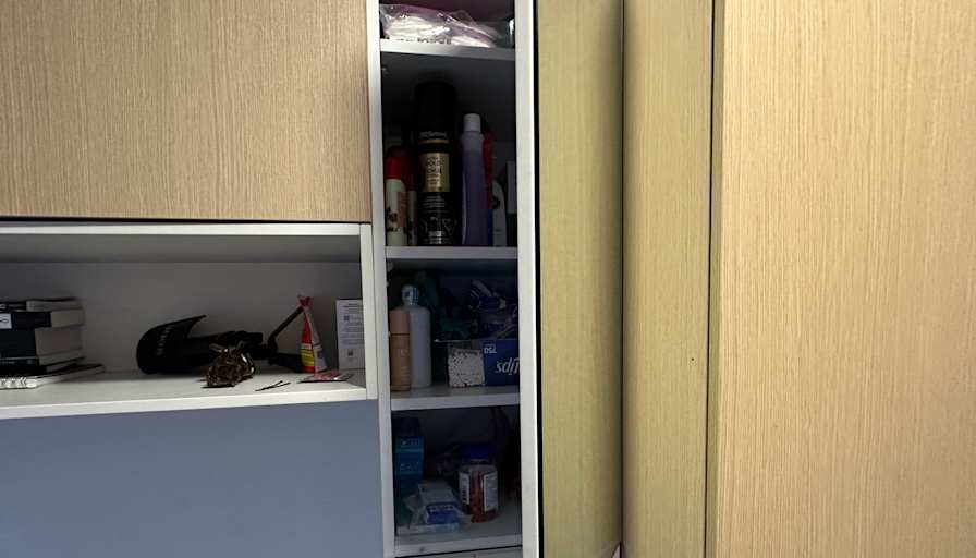 Halle's room